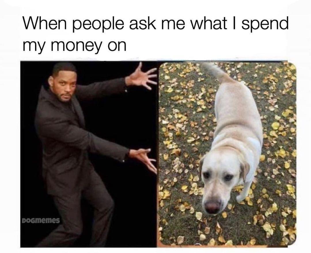 They&rsquo;re spoiled so spoiled