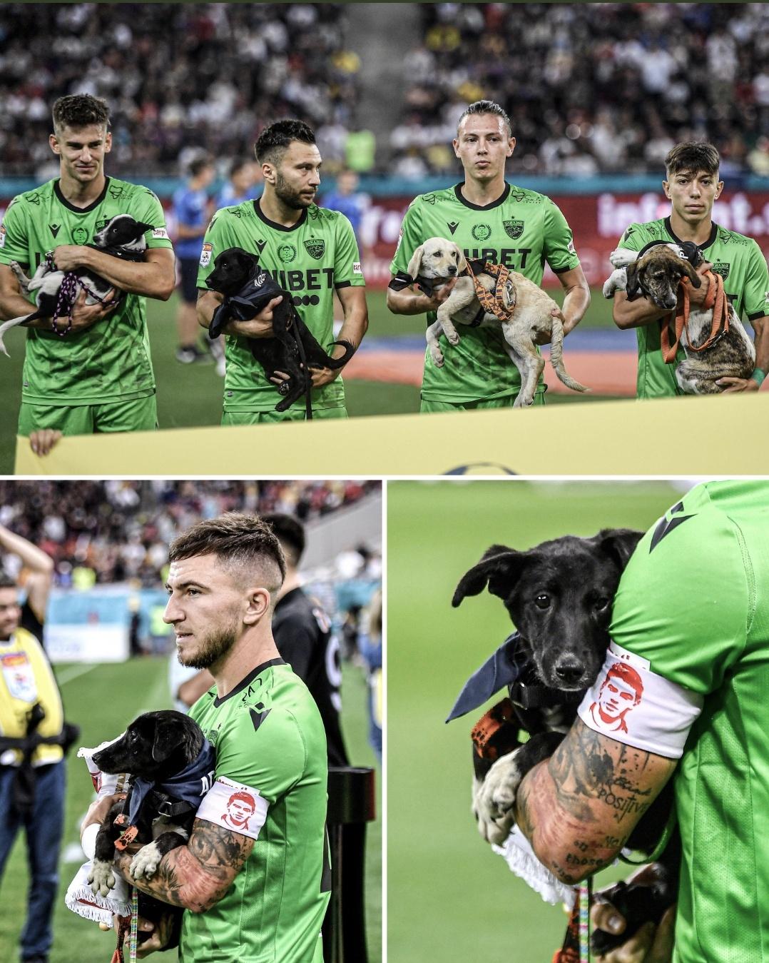 Dinamo Bucharest's players carried dogs onto the field in an effort to help find them new homes.