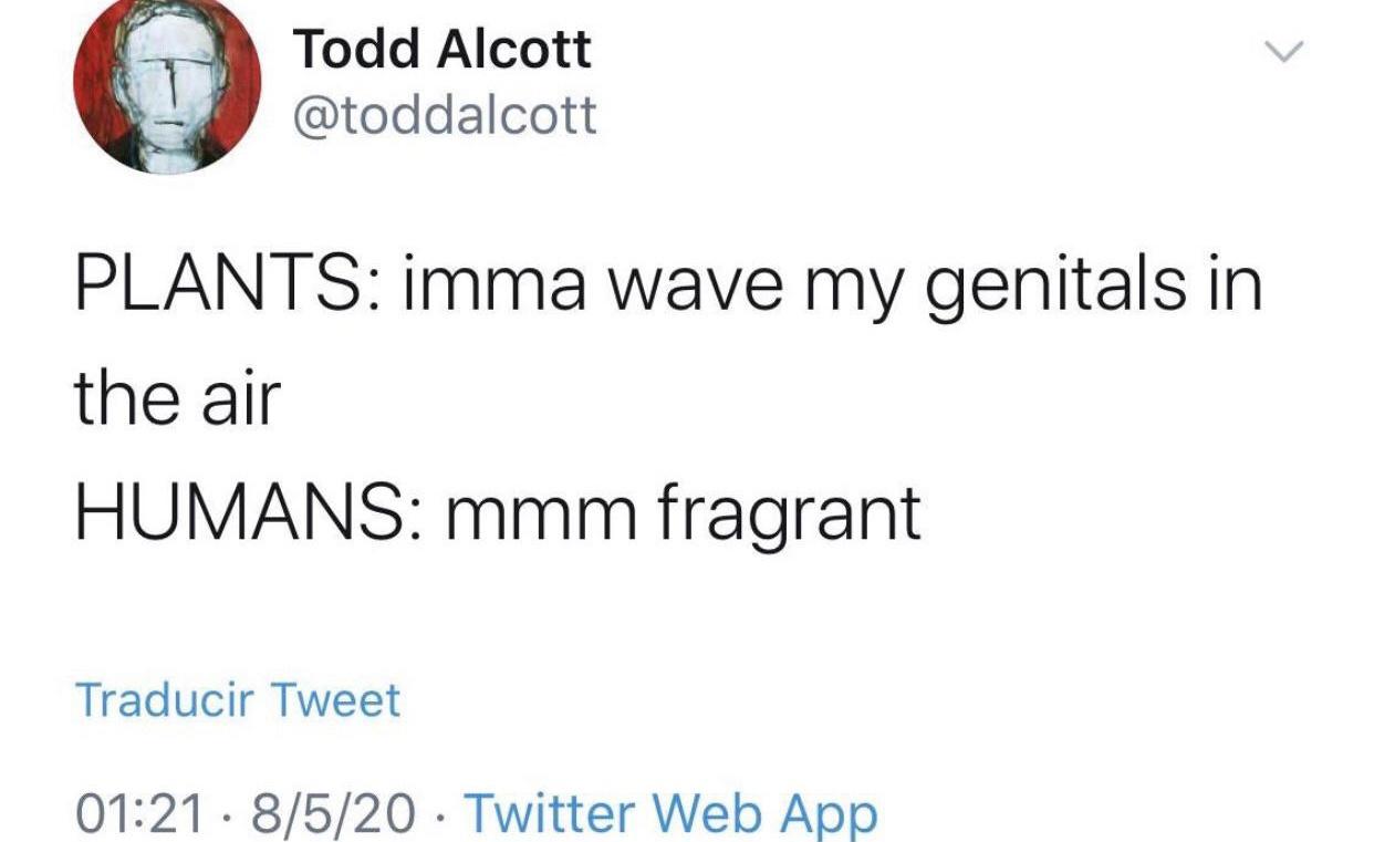 When you put it that way...