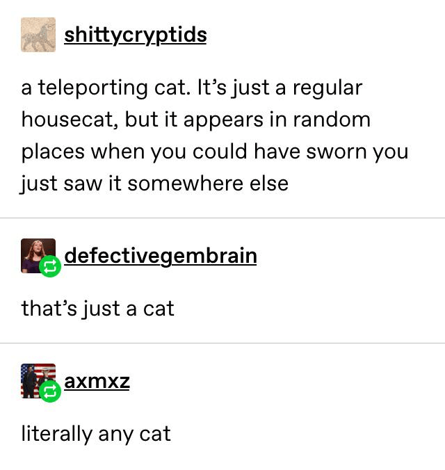 A regular cat