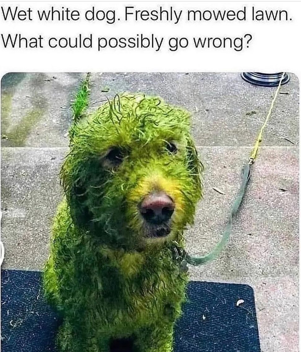 What Could Possibly Go Wrong