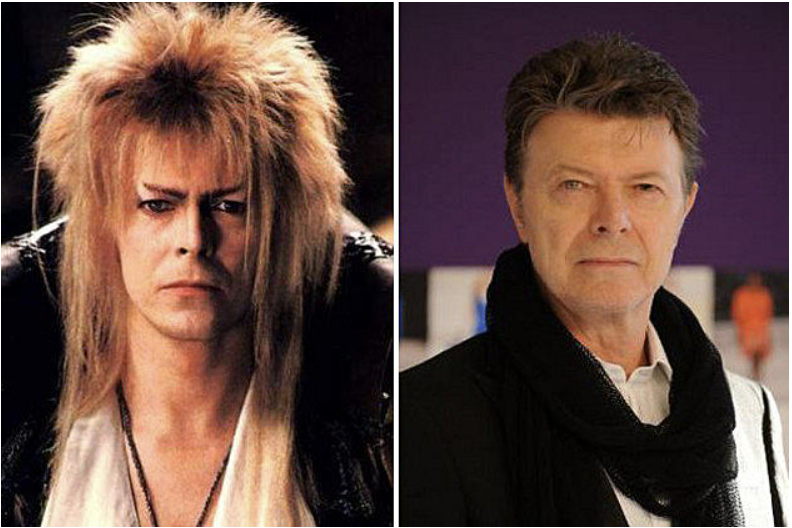Where Are They Now? Labyrinth Edition