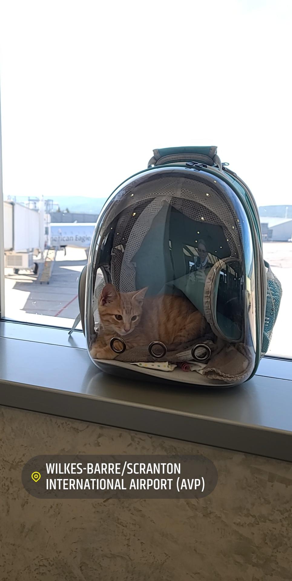 Welcome home, Calcifer. Your big brother Finn has waited his entire life to meet you.