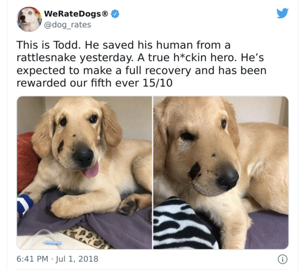 True Heckin' Hero