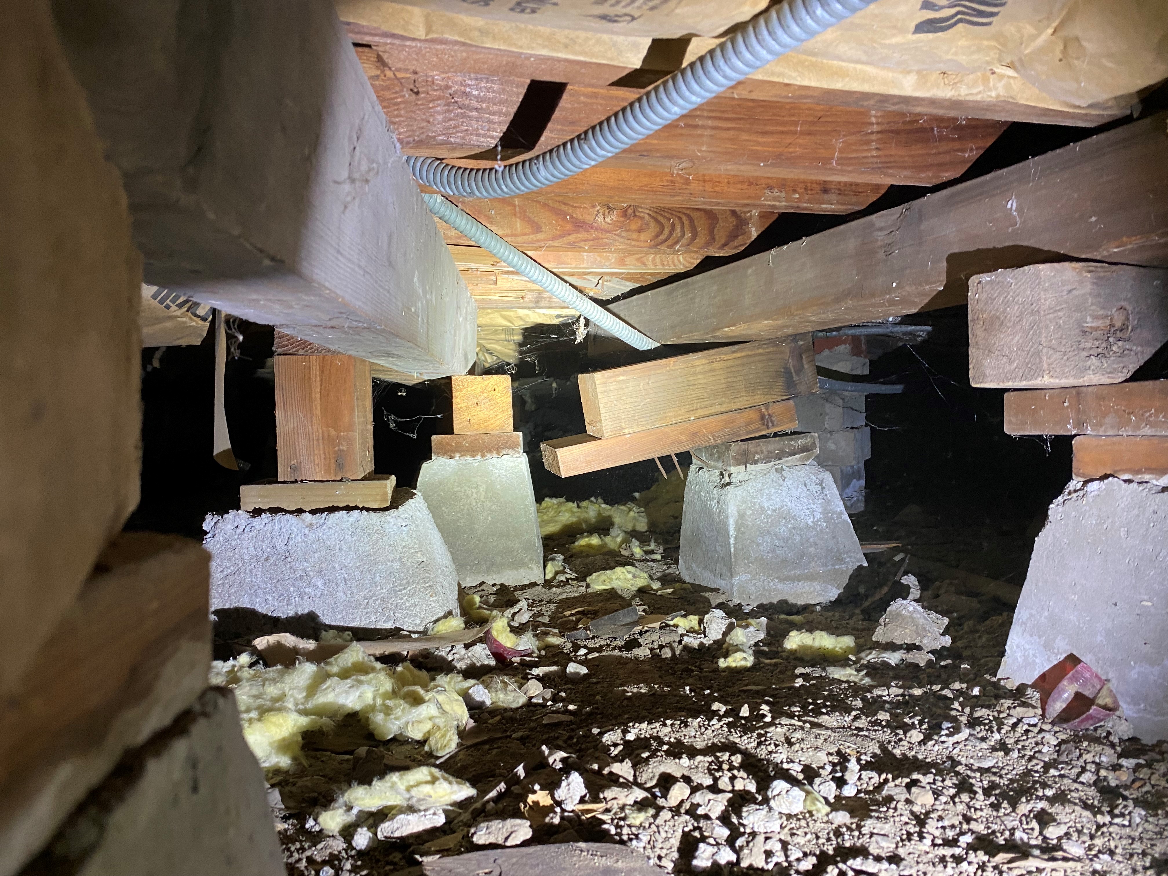 Things seen this week during structural inspections!