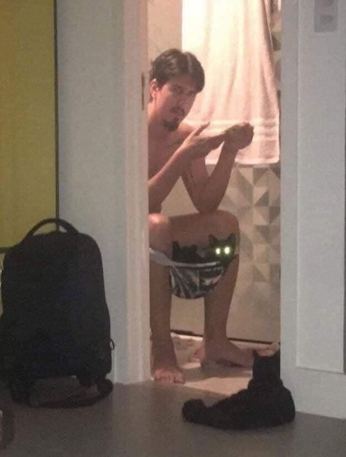 Privacy or cats, not both