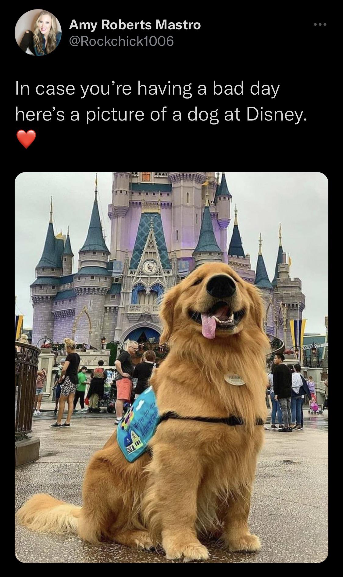 Erhebend (Uplifting, German)