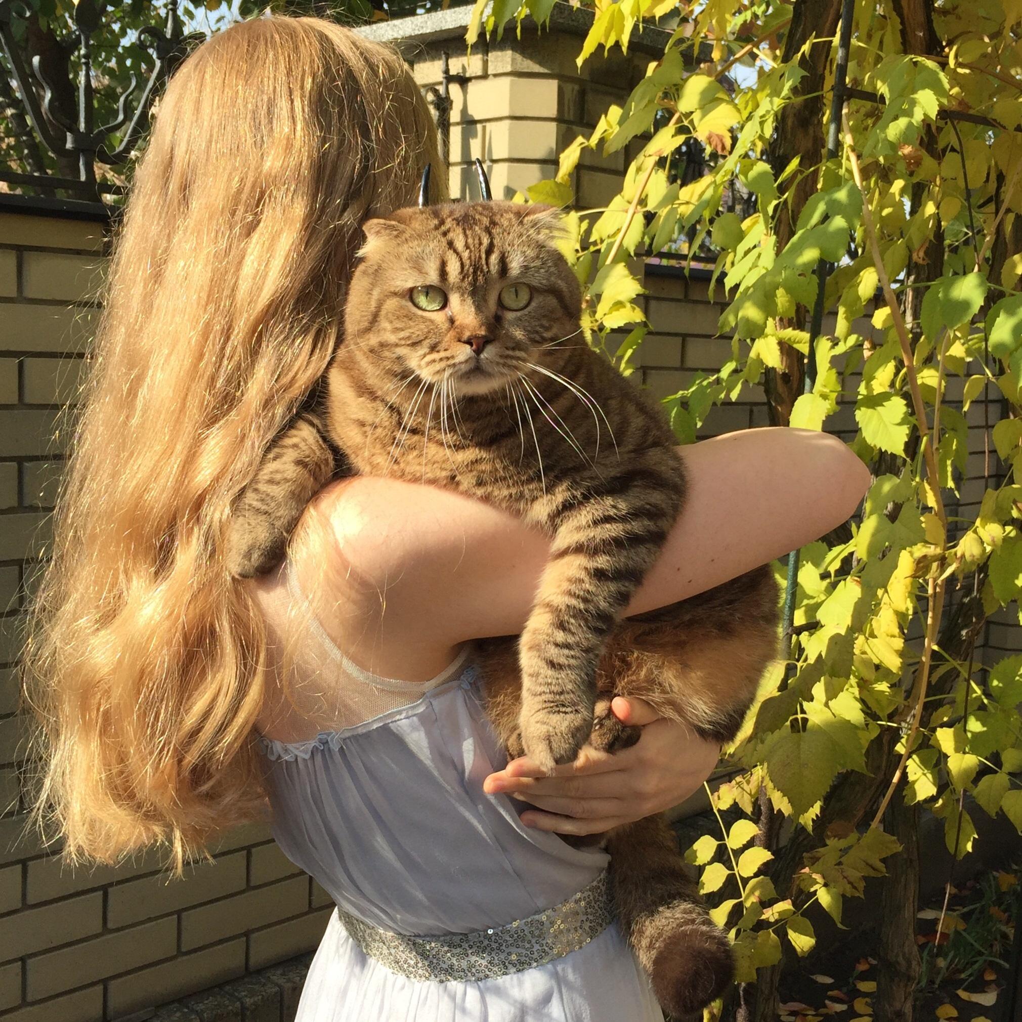 Walking with my chonk