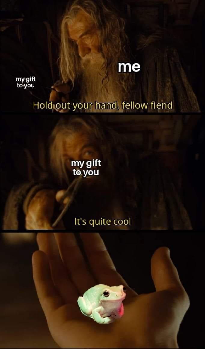 The Wednesday of the Dudes mini dump with tax!