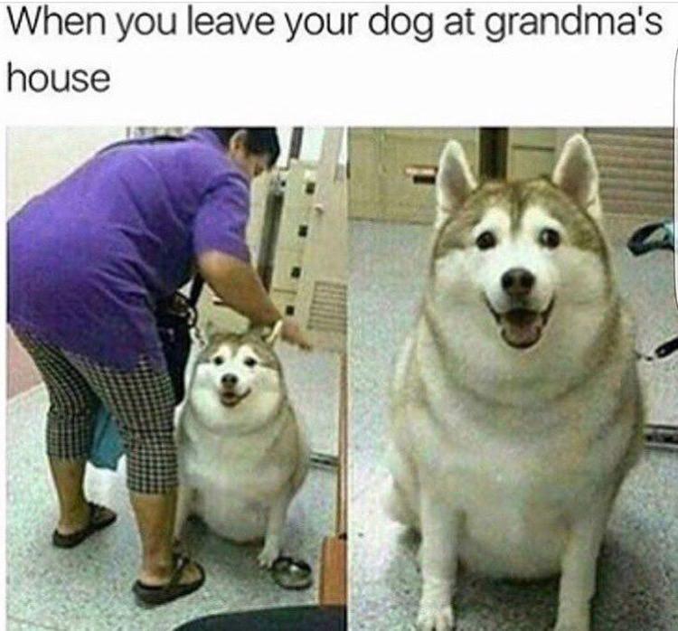 It's a spicy one, red ring of death on this one......