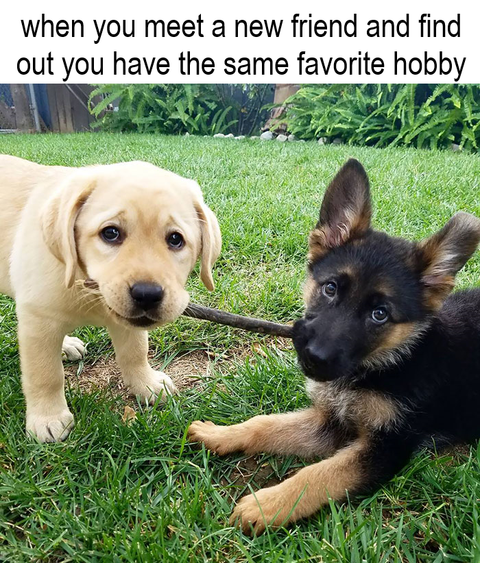 And an instant bond was formed