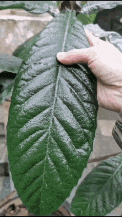 Is that what you want ?