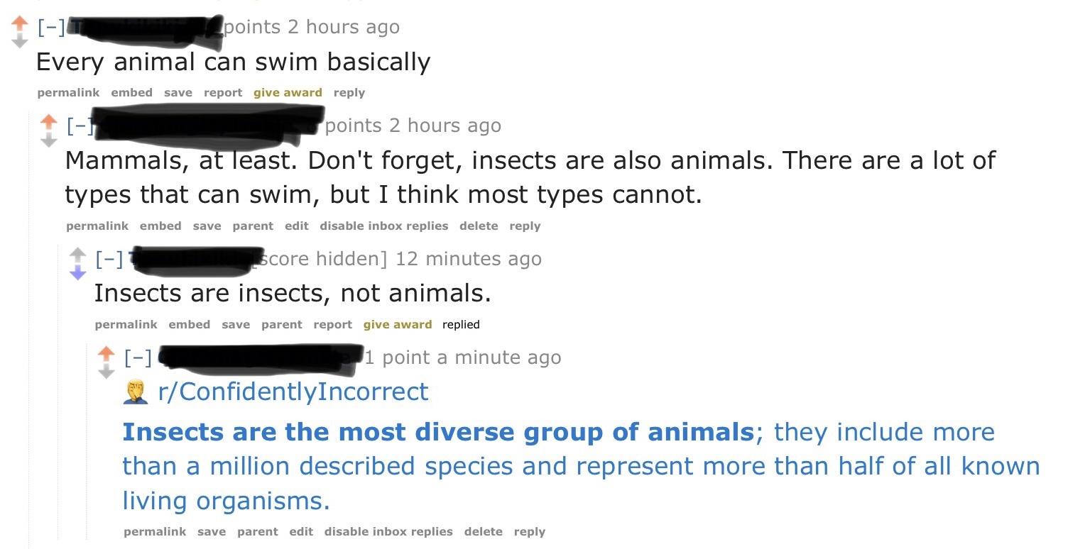 Confidently Incorrect