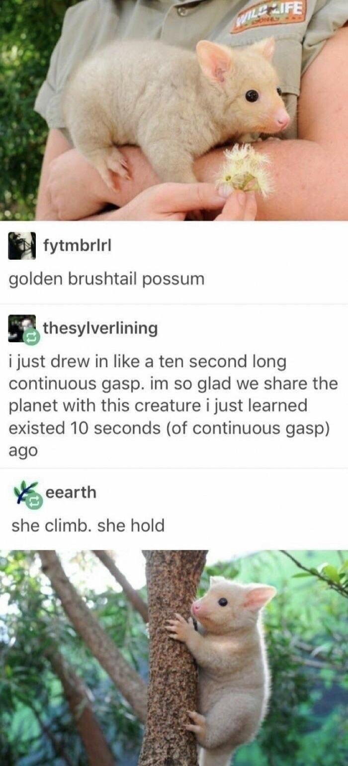 Clearing my phone cause I don't have enough space for the notes app, part 2