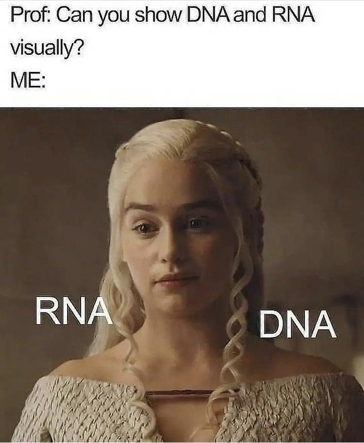 Dna rna memes