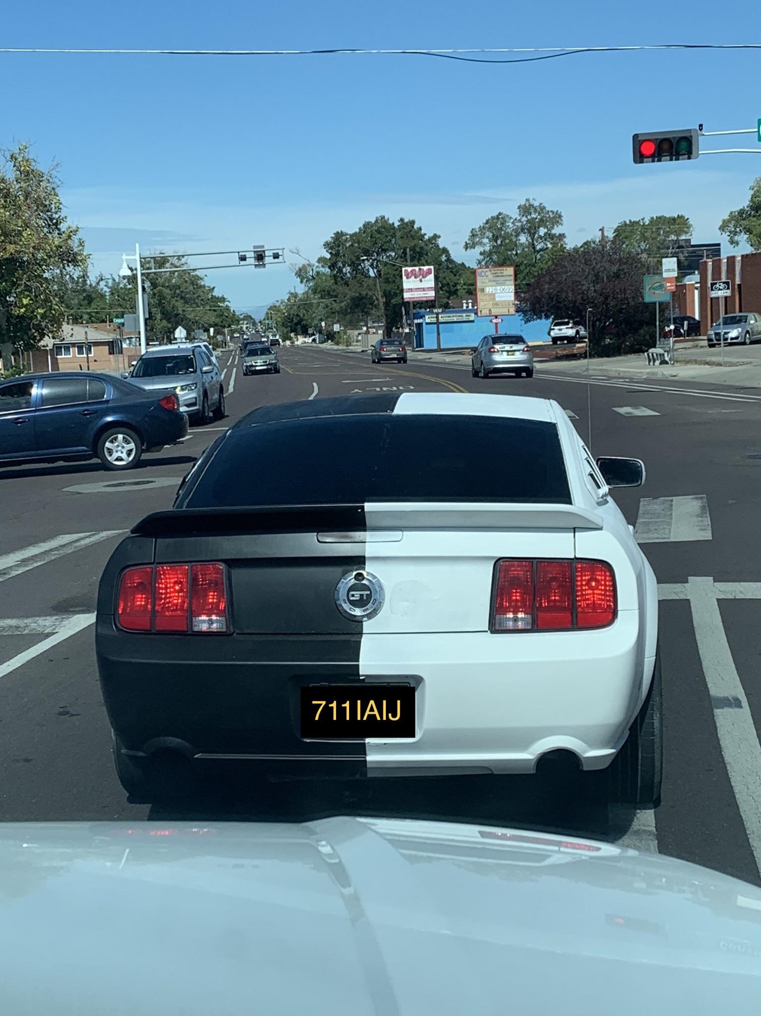 Hide your Dalmatians