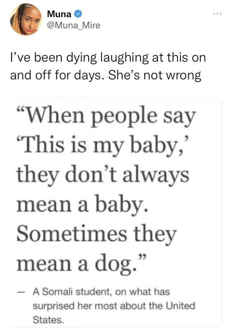 Dogs are cute babies too!