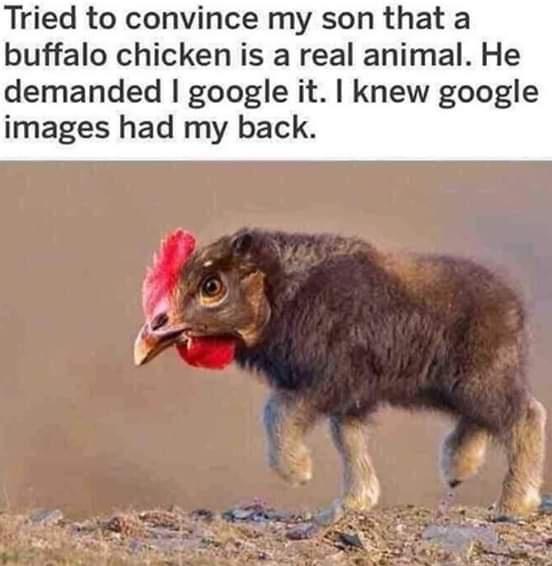 This is where buffalo wings comes from...