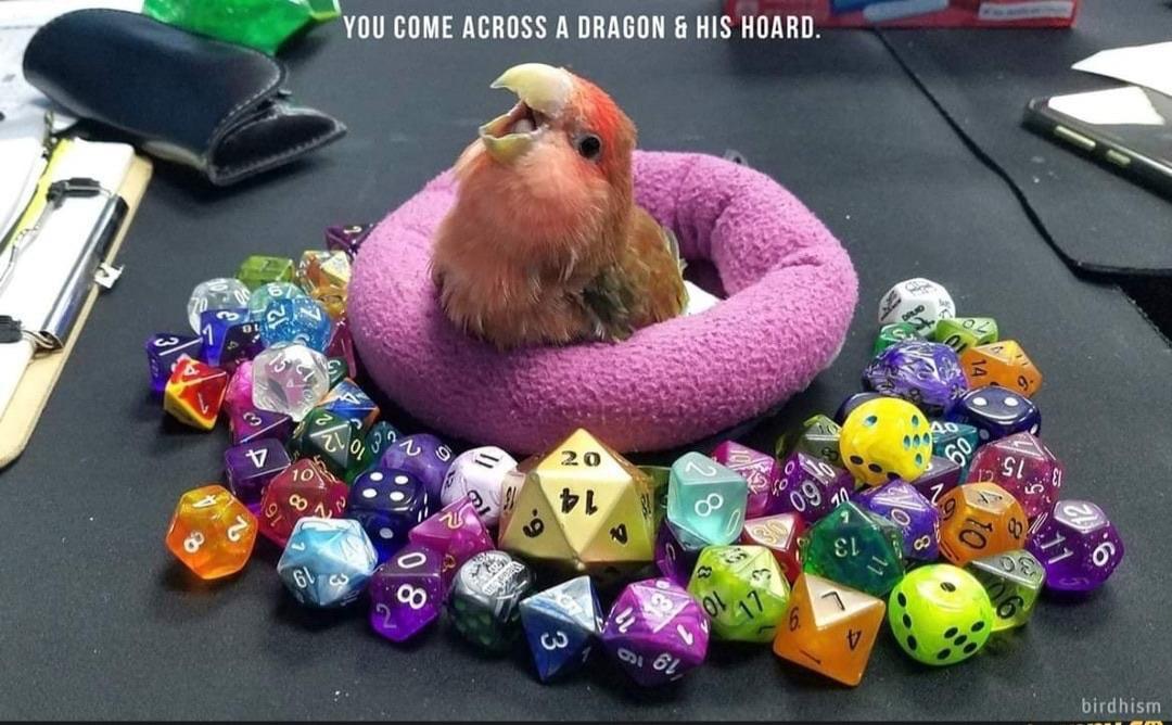 Memes and things vol. 96