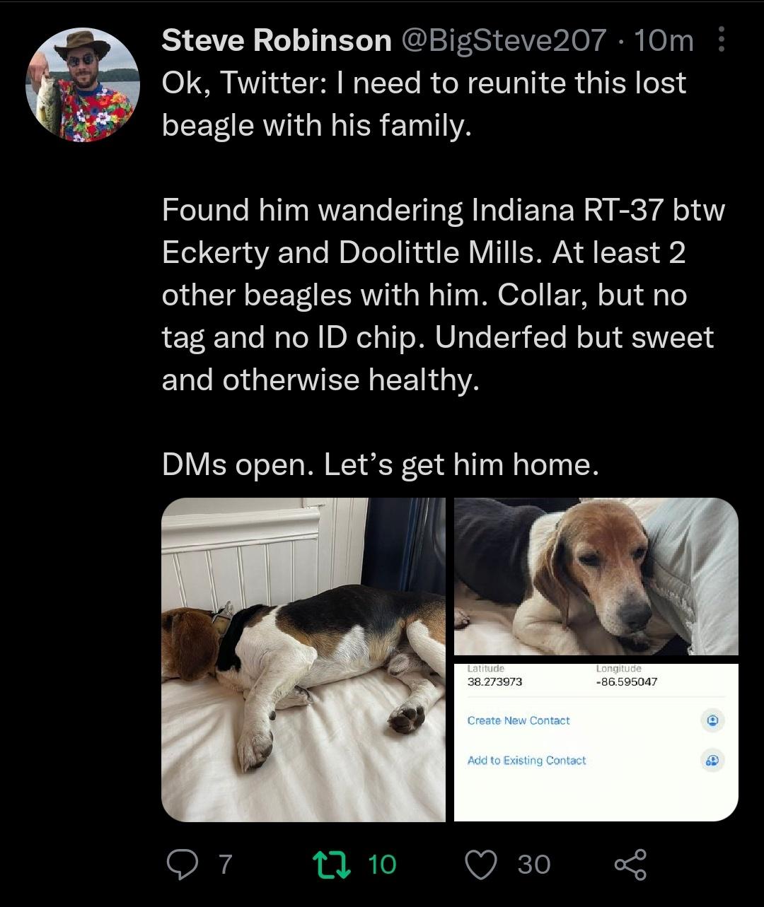 Help find this good boy's family