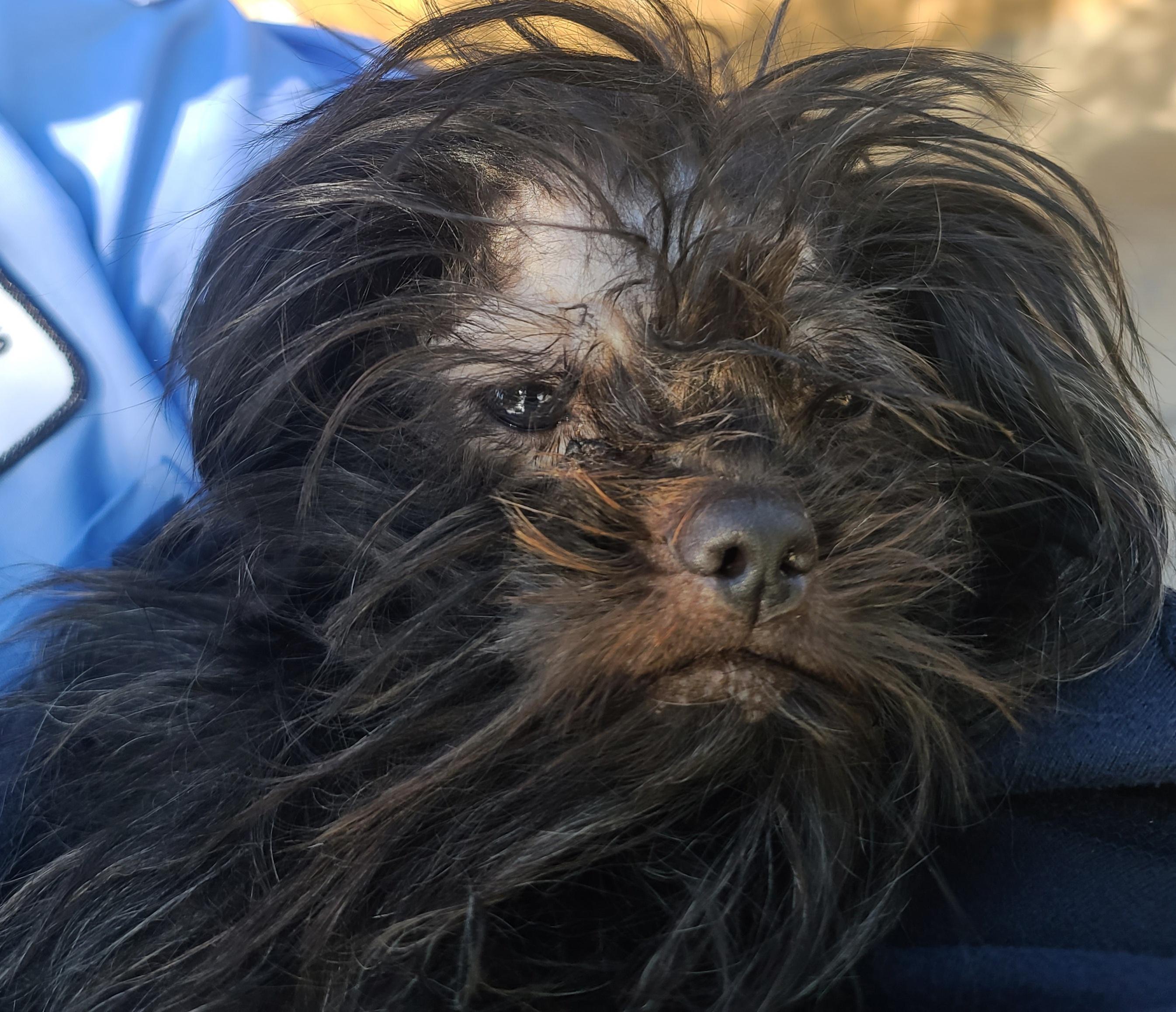 People are bastards.