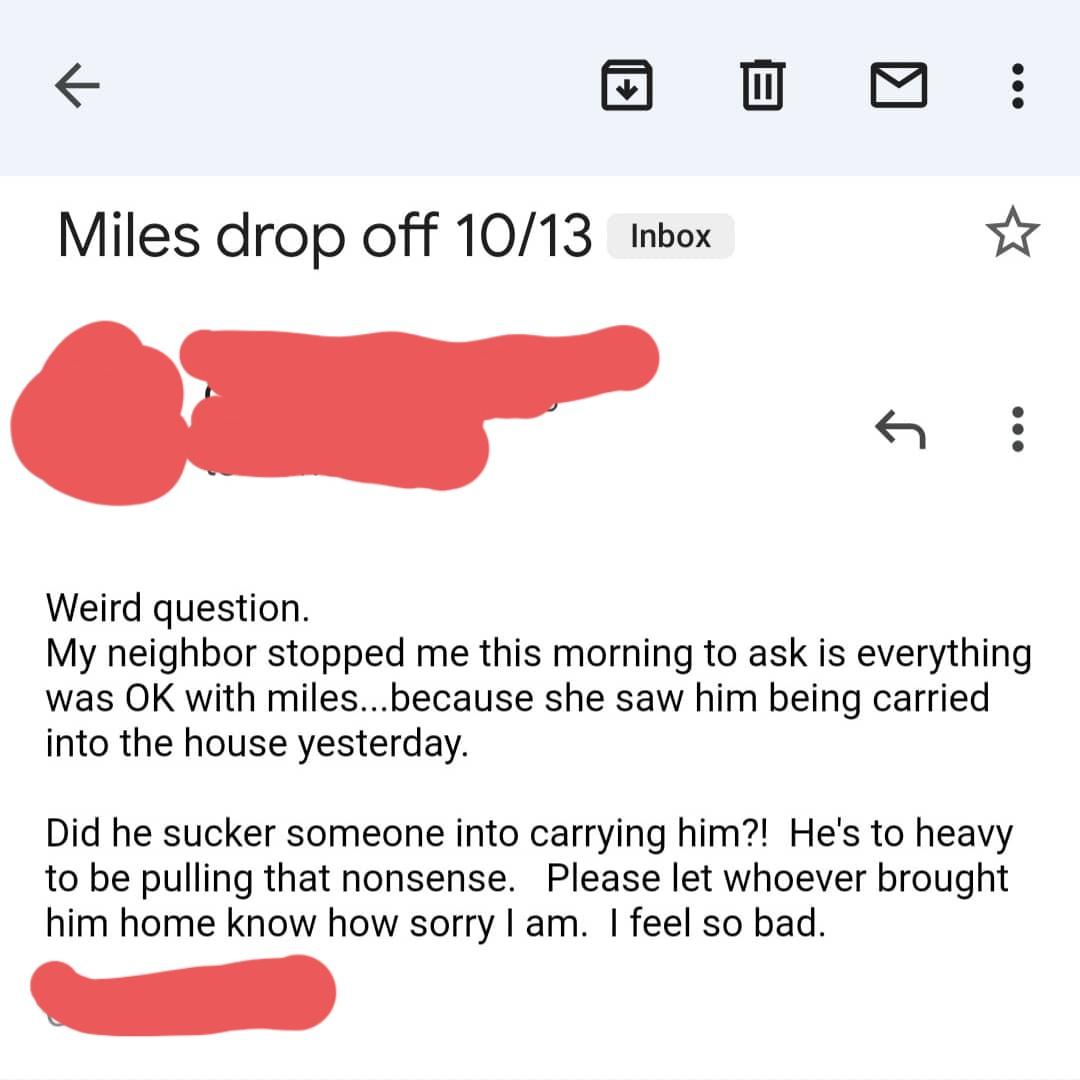 My dog is a Con Artist