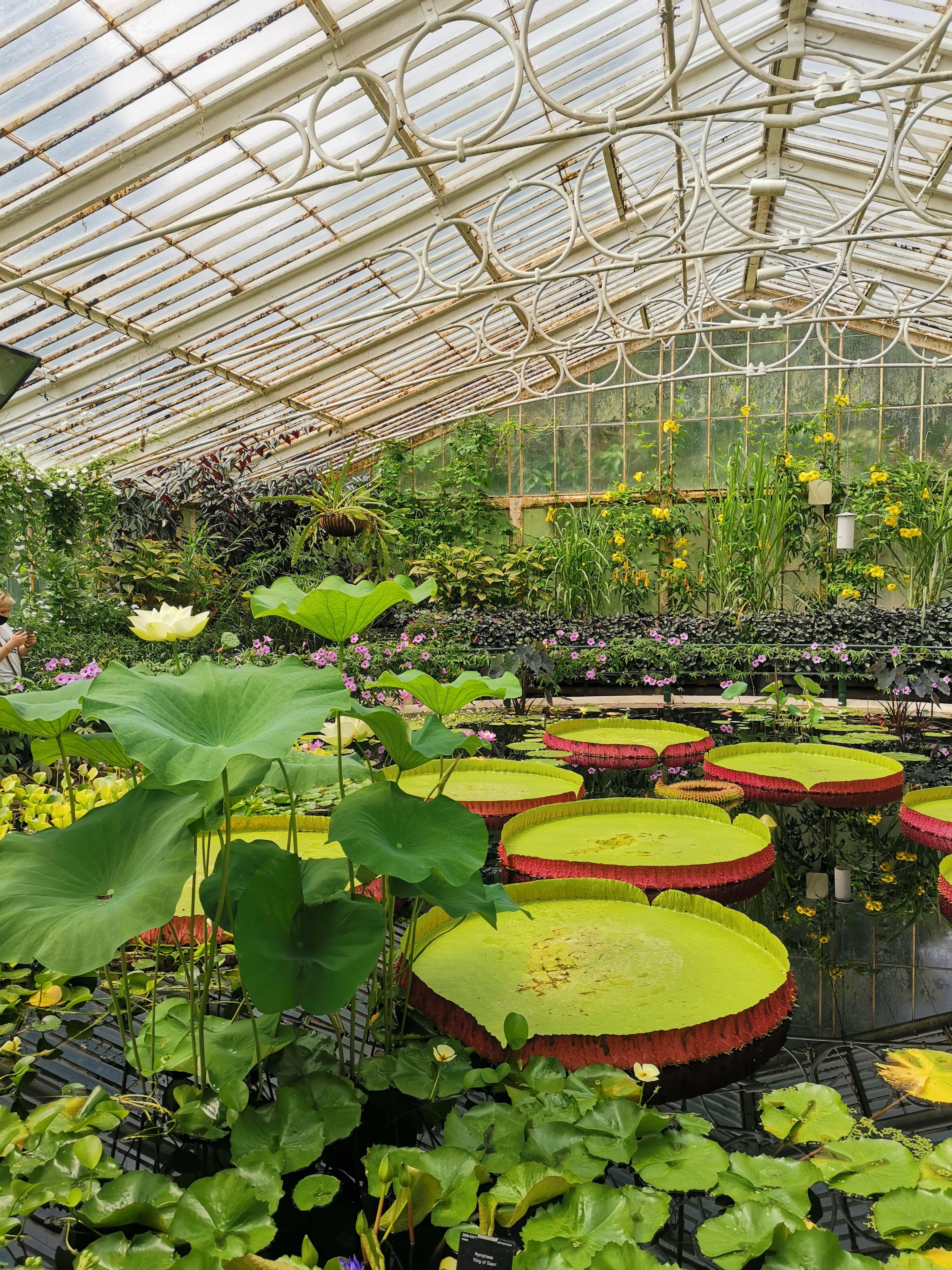 Kew Gardens - October 2021