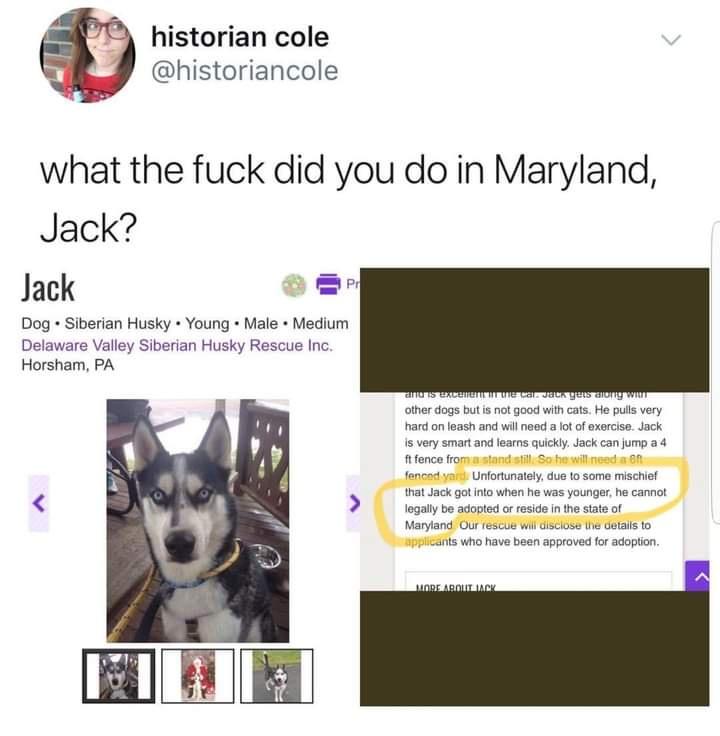 Jack never woofs about that part of his life.