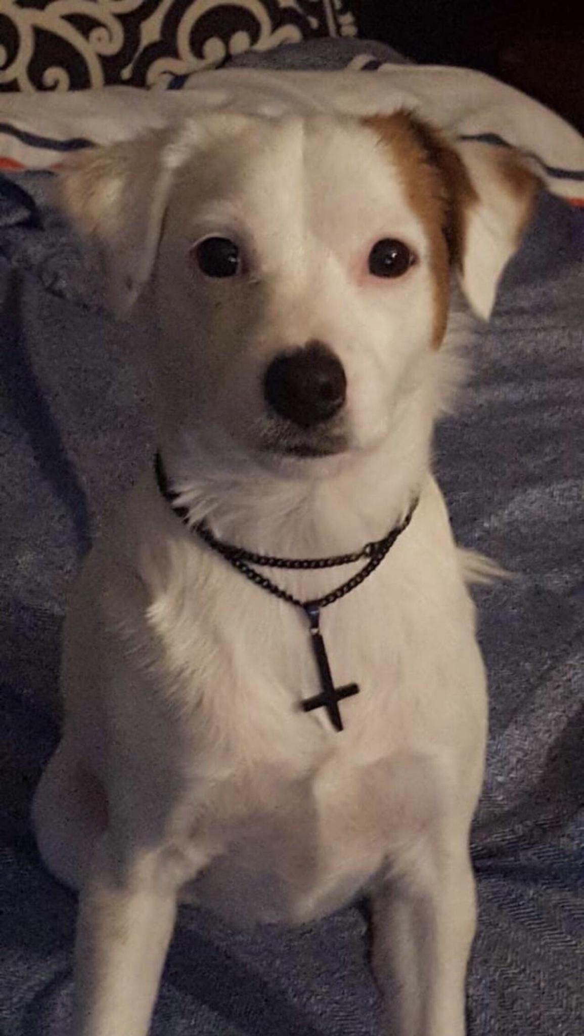 My GF of 3 years came with a package deal, meet Mesha