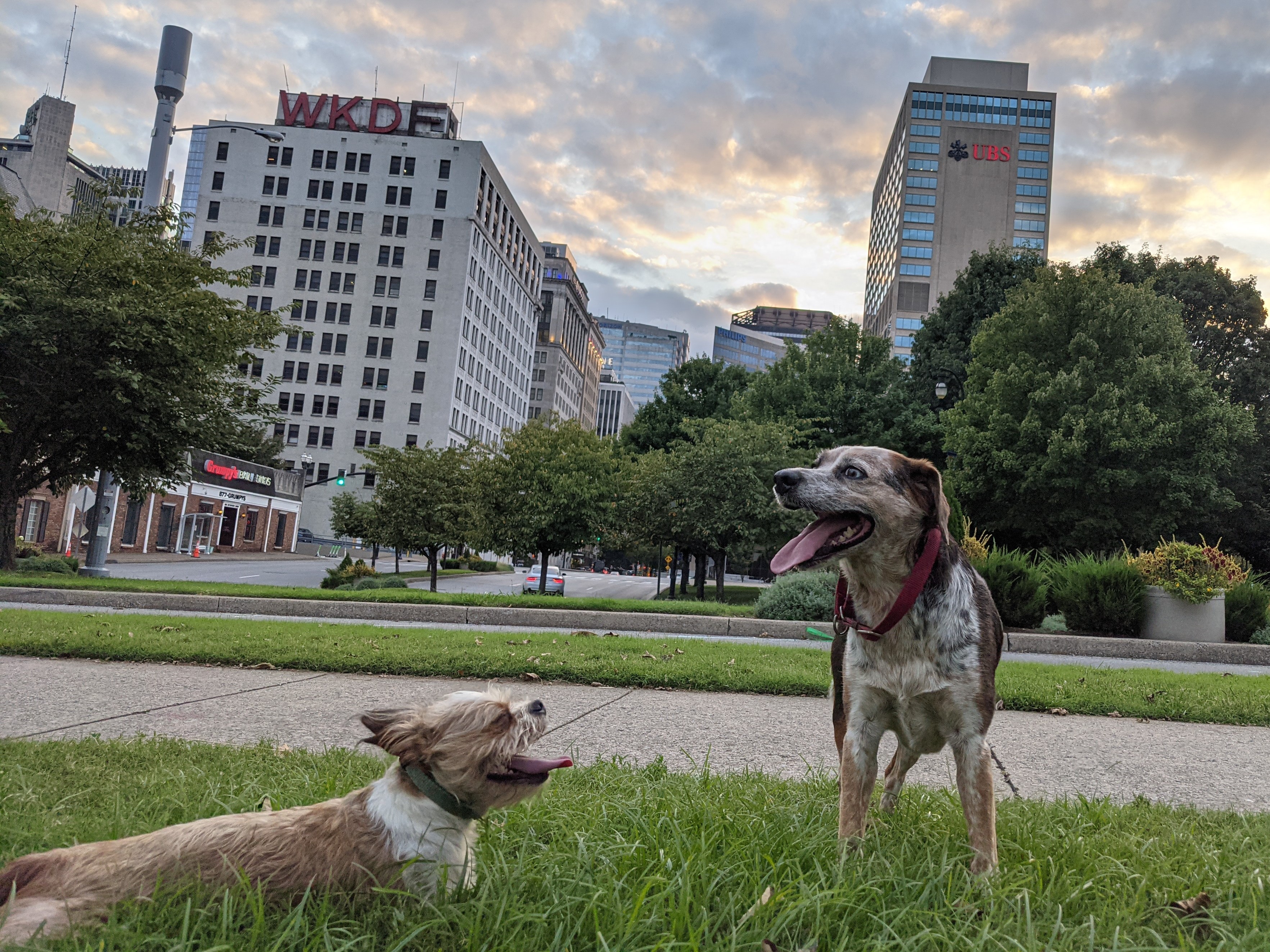 Let's help an Imgurian today