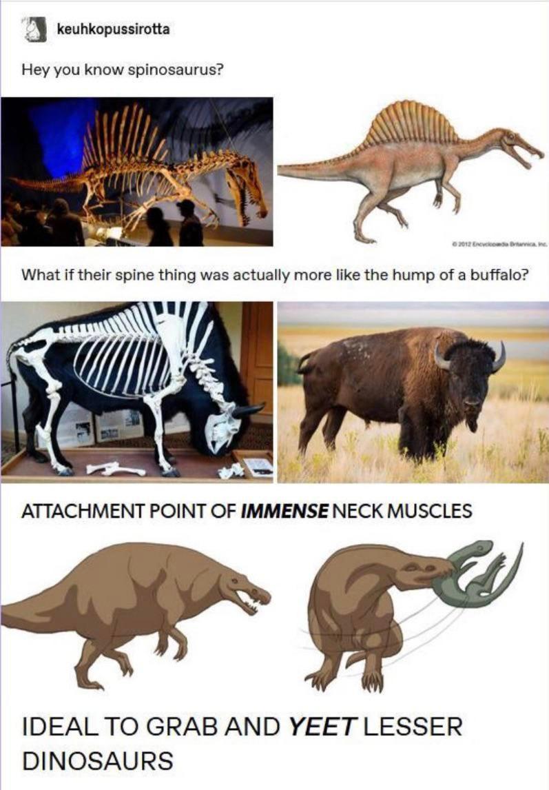 Today! On Dinosaurs probably didn't look how we originally imagined!