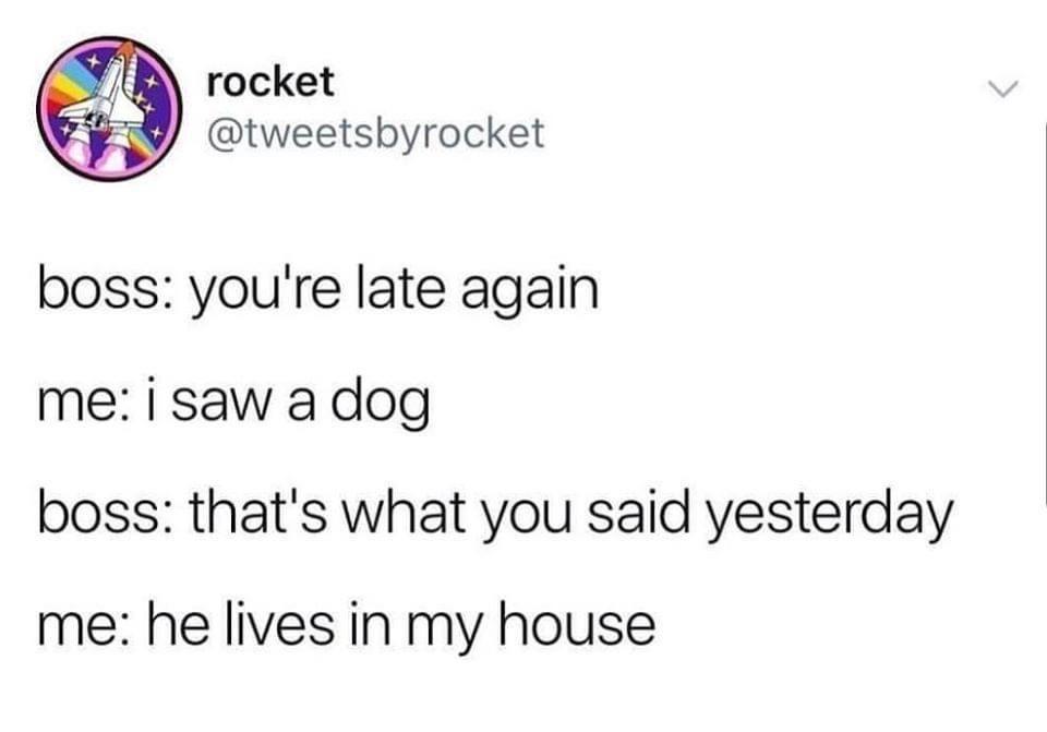 Never thought I&rsquo;d need a phone dump but here we are Doggo Heavy edition