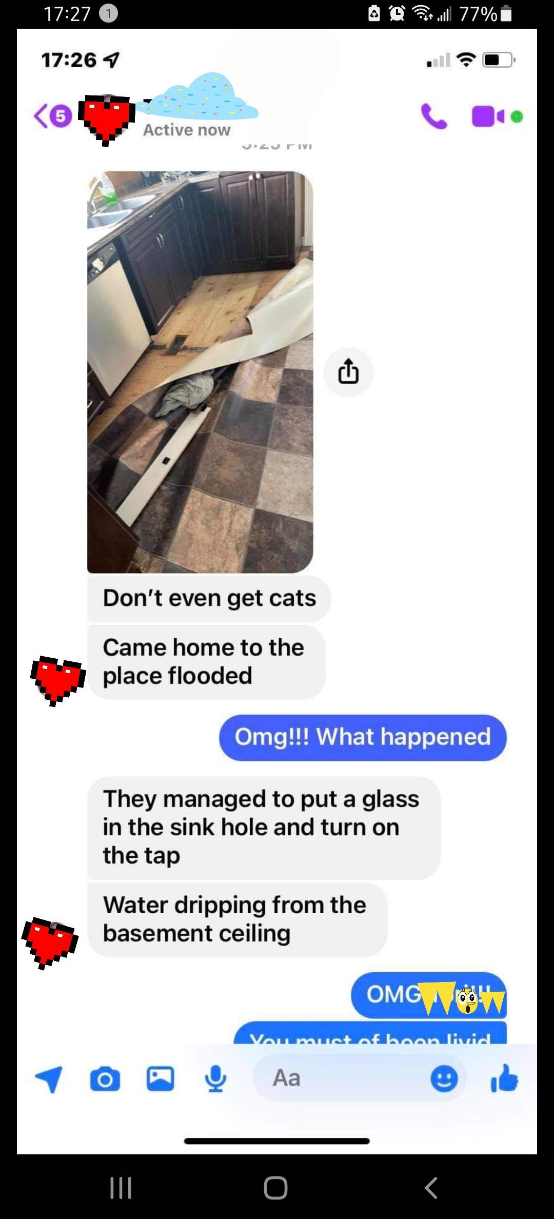 Damn cats...impressive!