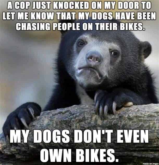 I mean, I'm not even mad