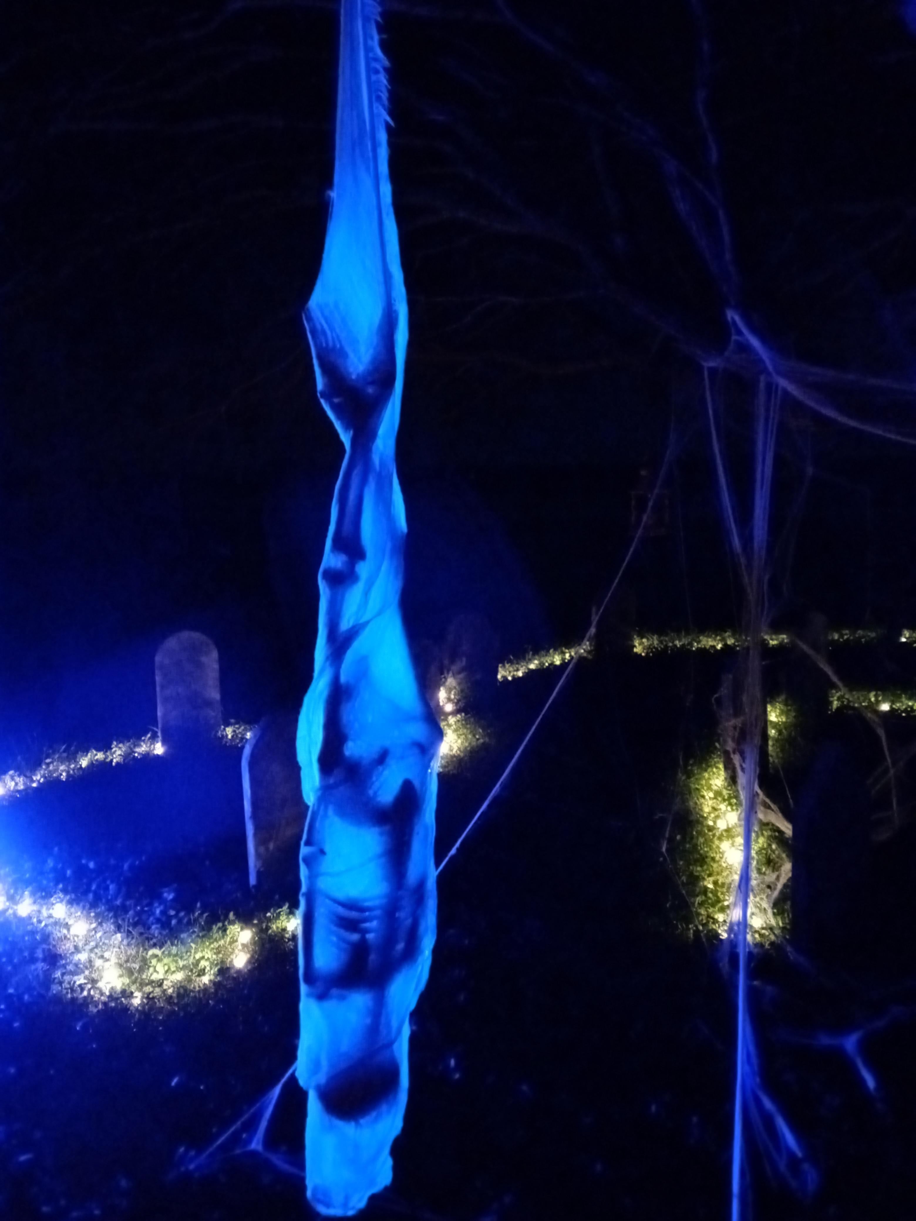 I wrapped a dollar store skeleton in gauze and hung it from a tree. Put spider webs all around so it looks like the spider caught something.