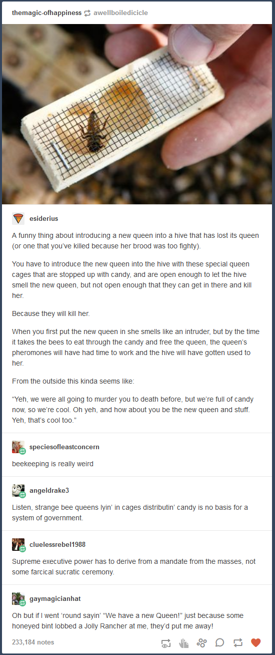 it is the only valid system