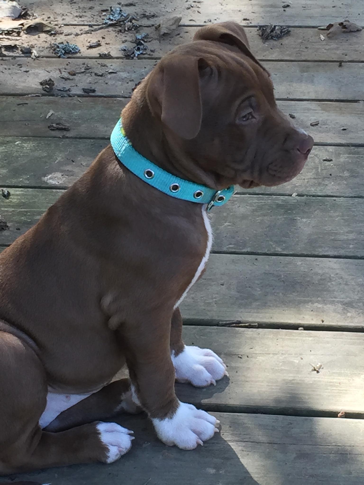 Here&rsquo;s some pics of my beautiful baby girl, she&rsquo;s perfect.