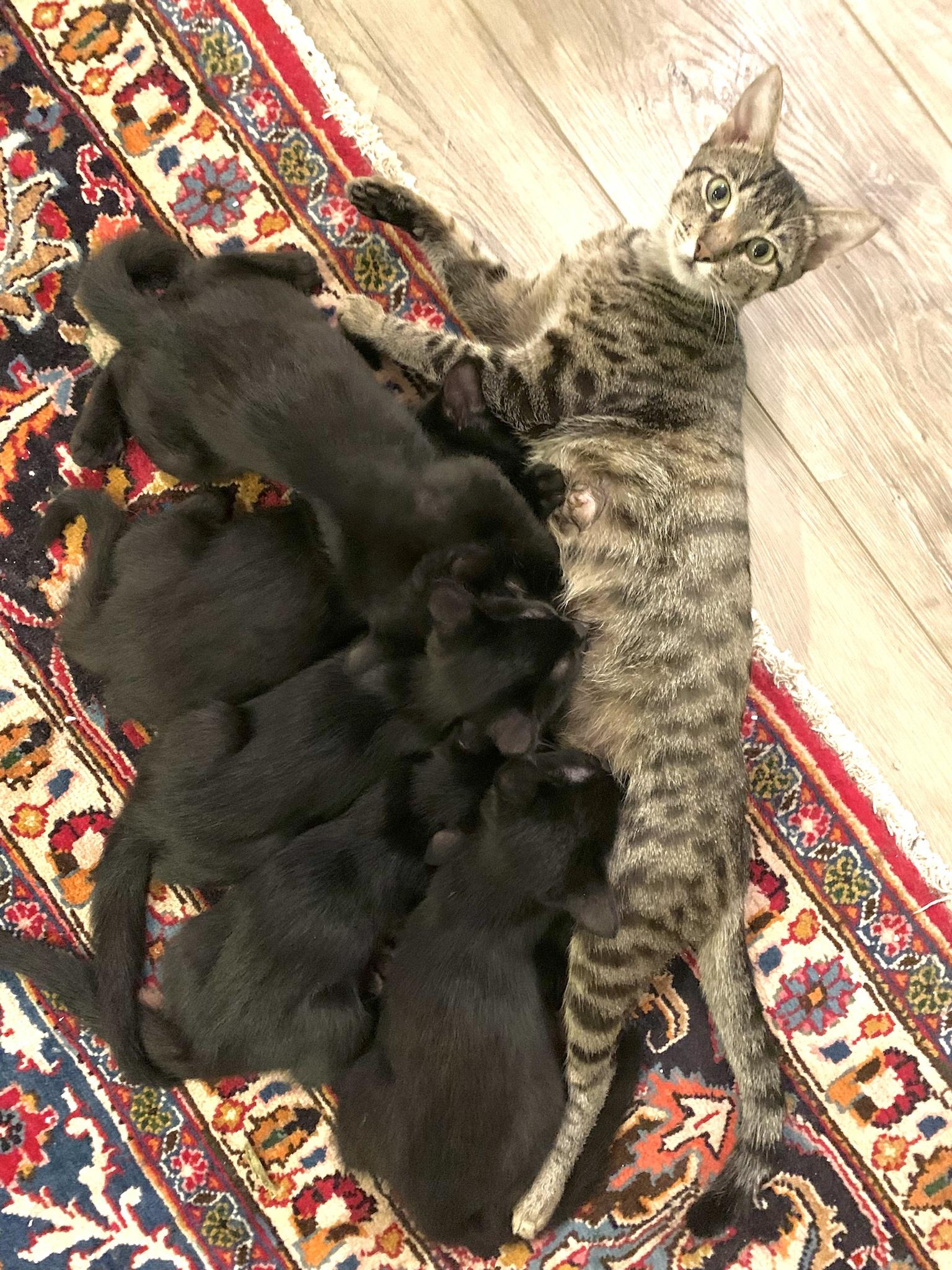 She’s such a good mama!