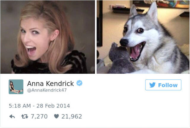Anna Kendrick funny tweets