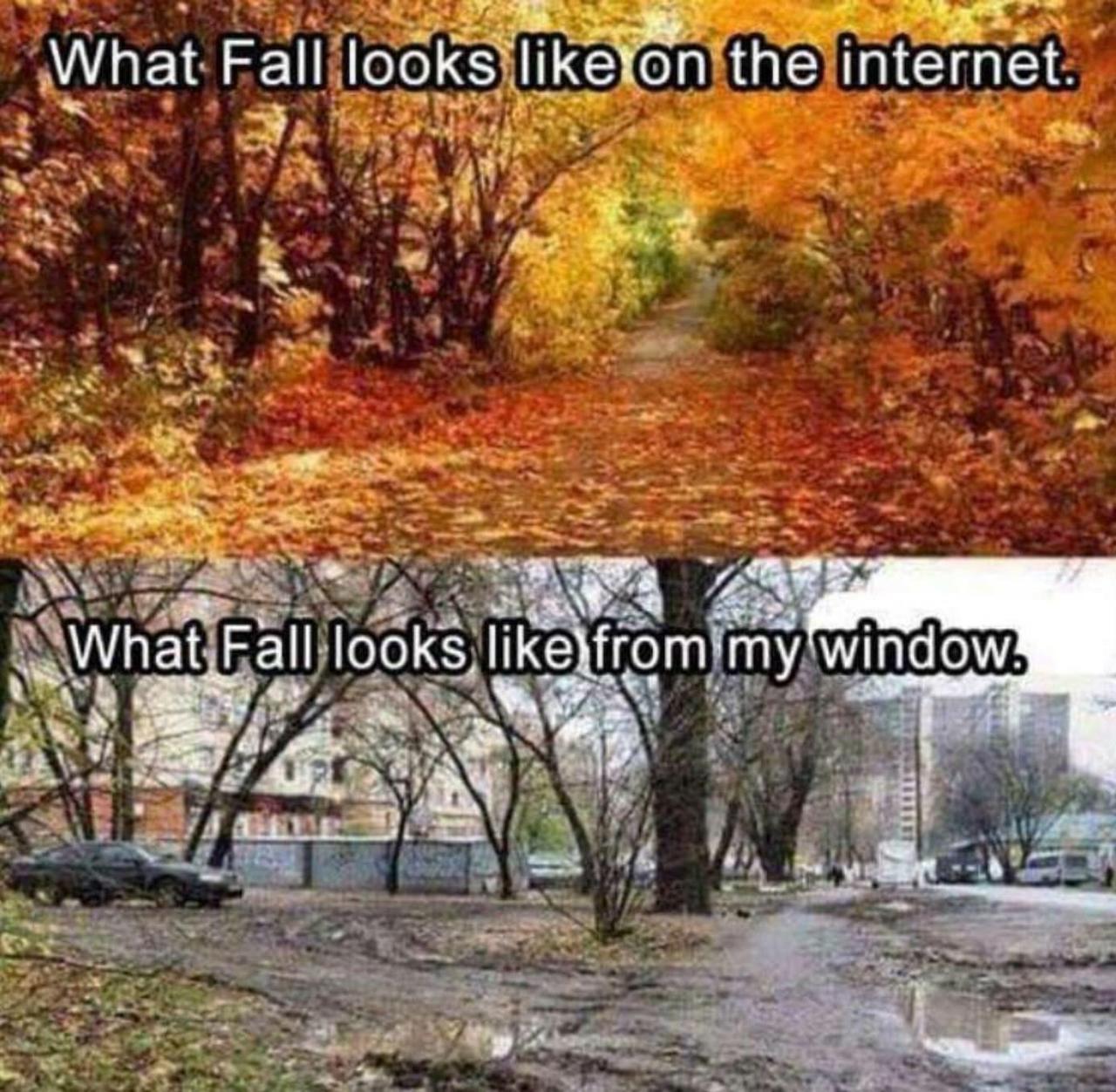 Lol