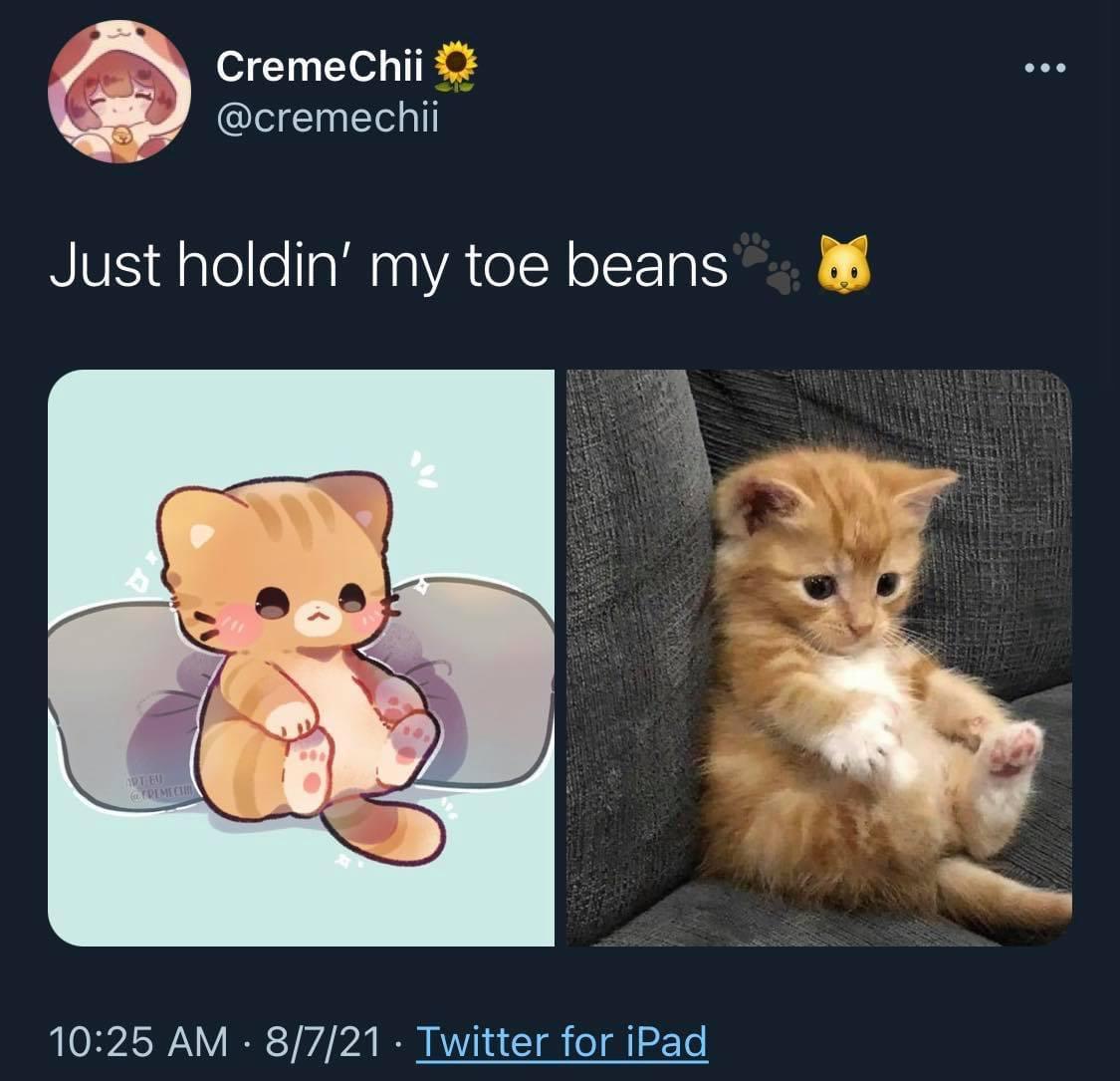 Phone dump #6 - Cats!