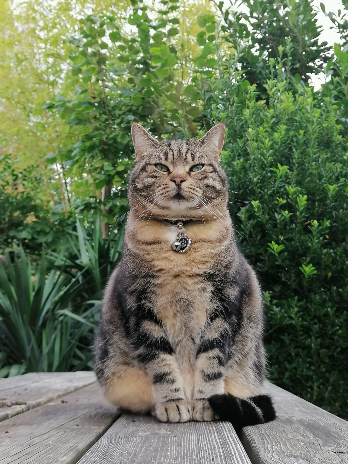 Such a poser..