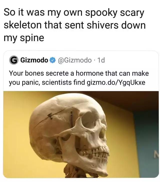 spooky stolen skelememes