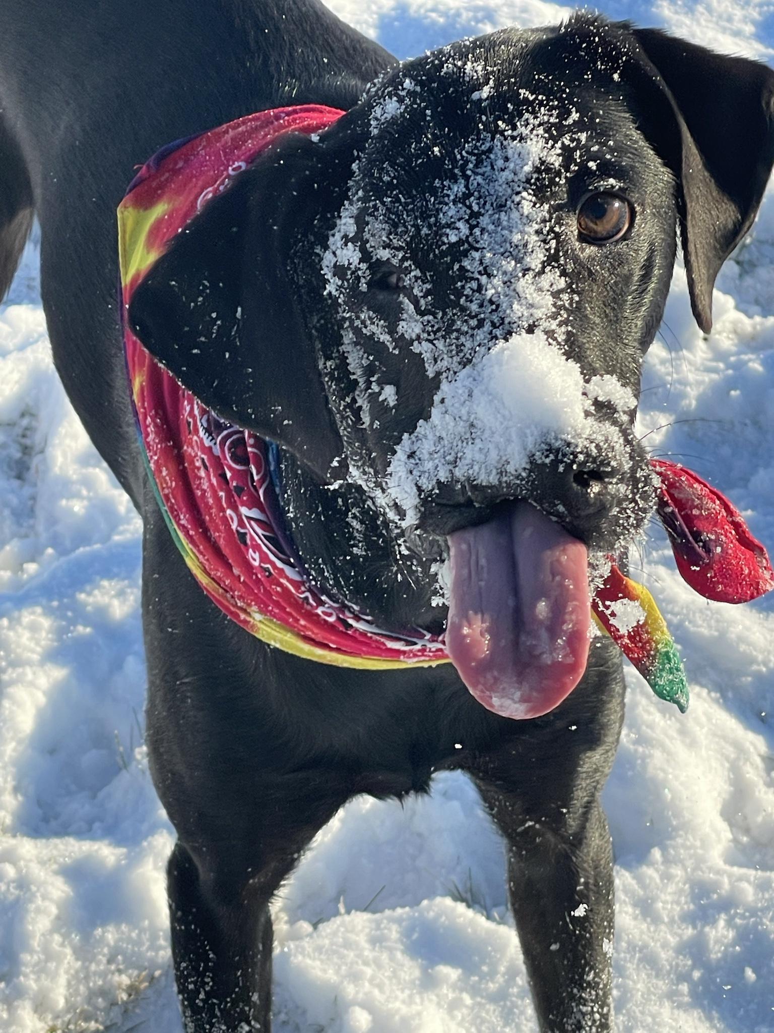 It&rsquo;s Felix Friday!!!!