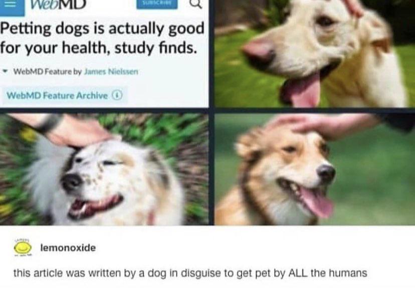 Canlandırıcı, (Uplifting, Turkish)