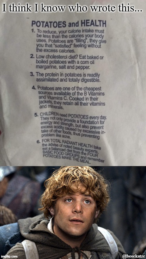 The hero of the story