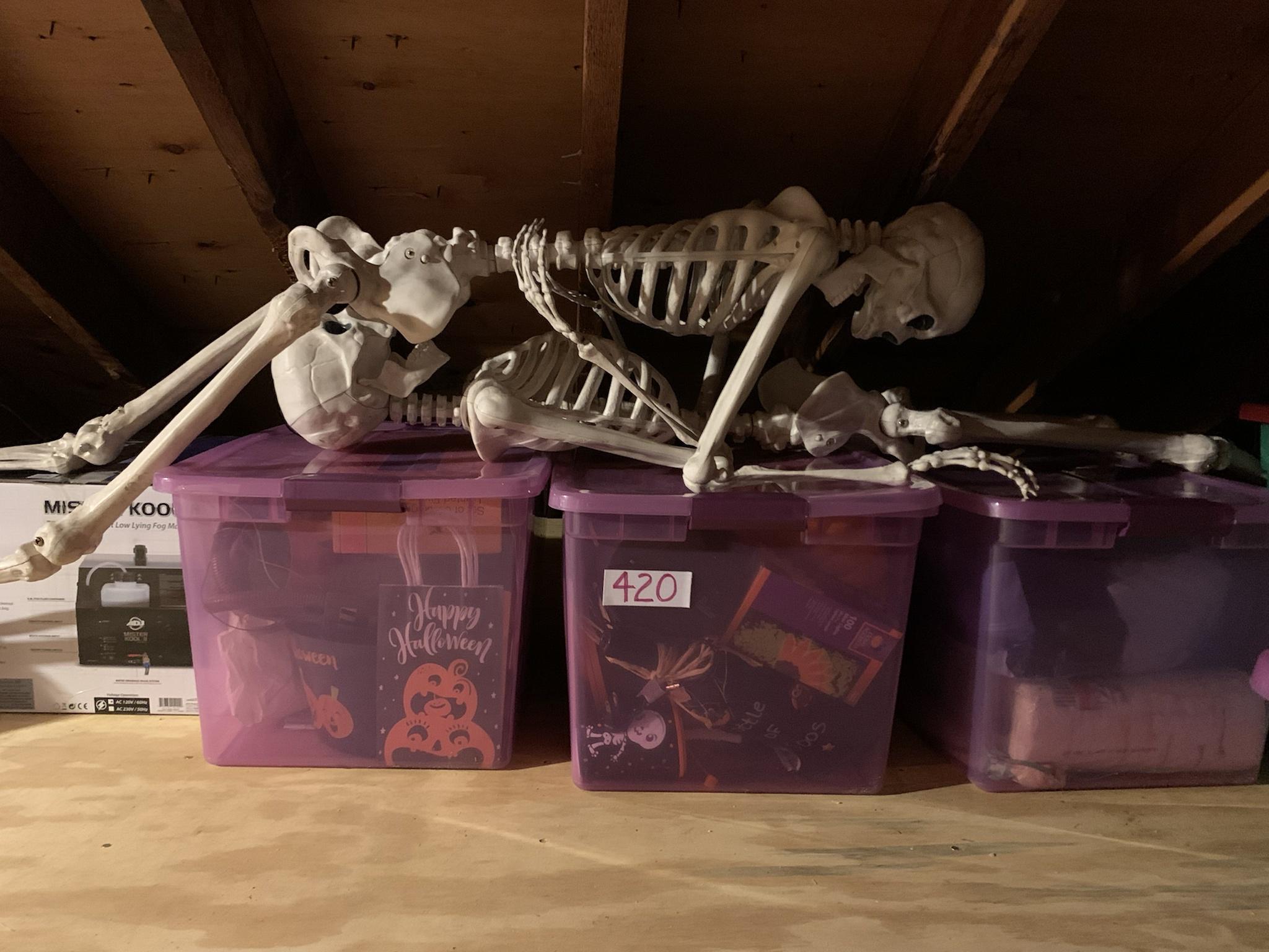 Yes, Honey&hellip;I put the Halloween decorations away.