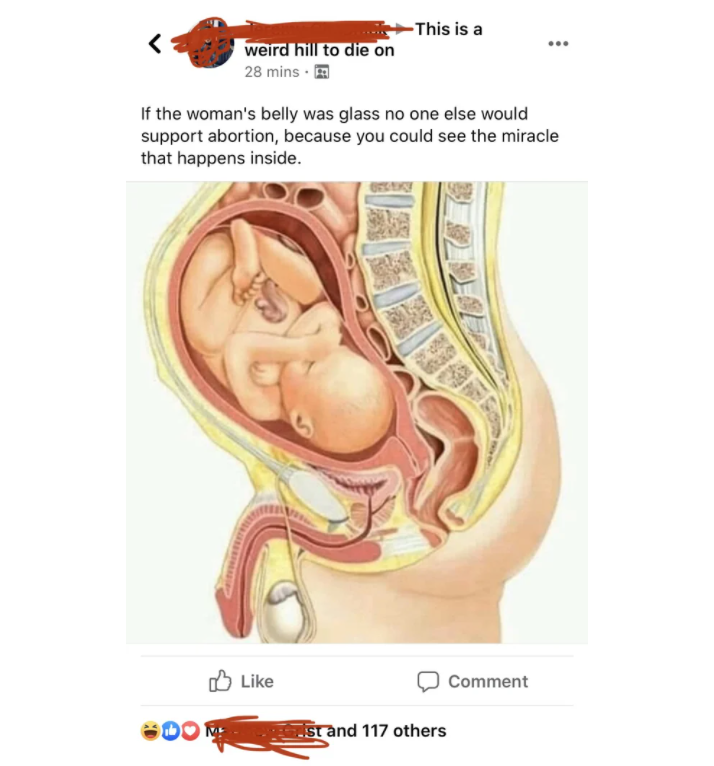 no title can do this justice