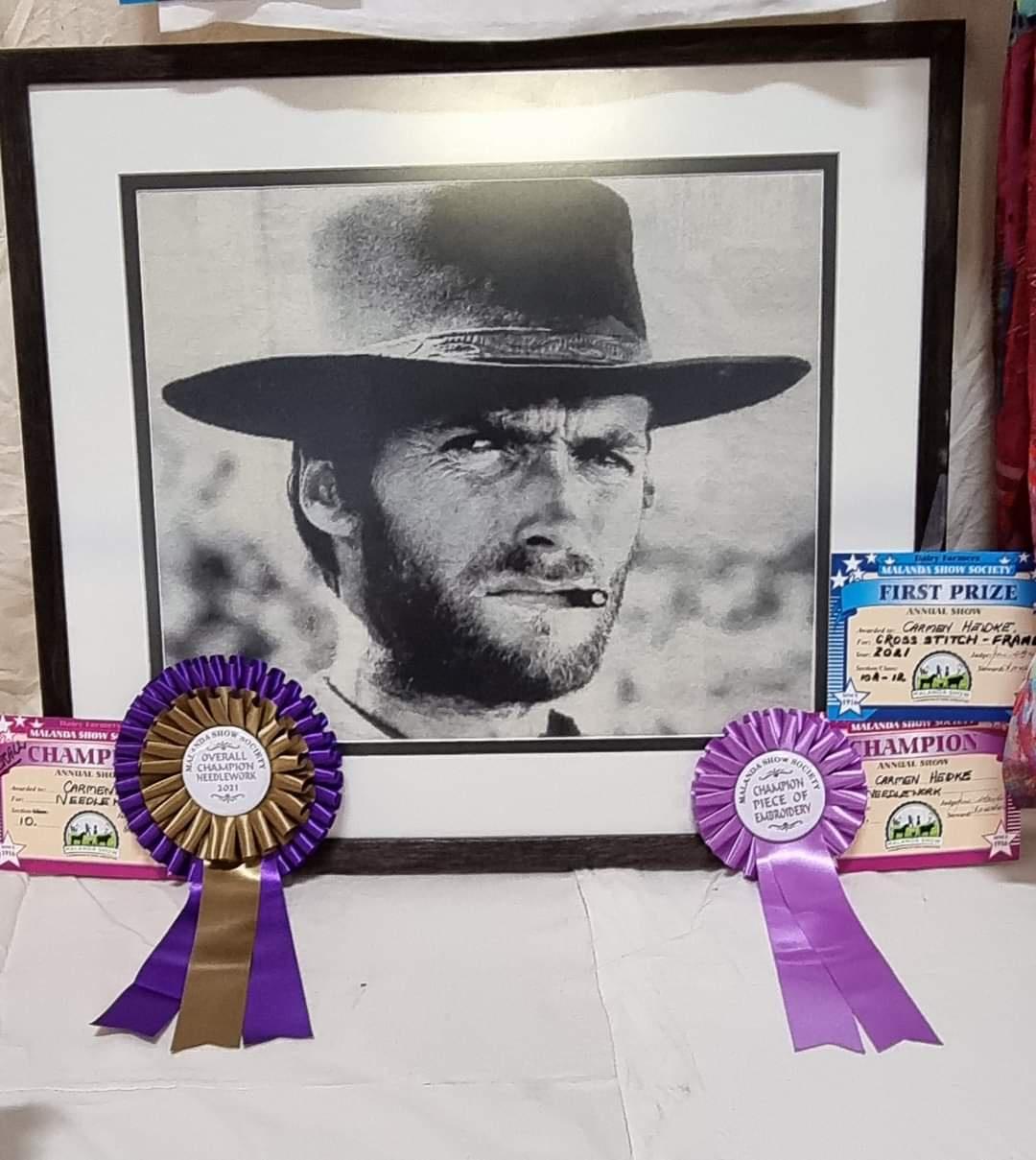 My mums Champion winning cross stitch