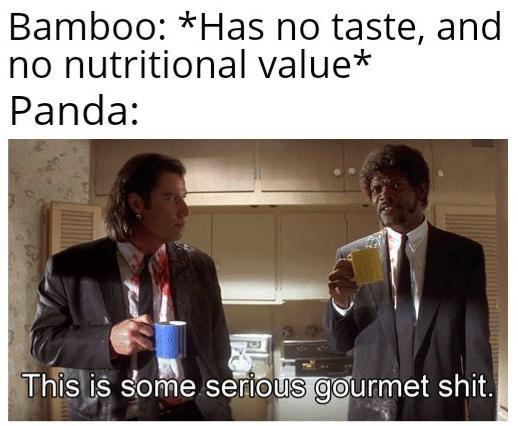 Spreken ze meme? - 5